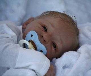 Doves Nursery Reborn Baby Boy 'A Linde Scherer Sculpt'