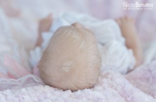 Bitsy Bundles Reborn Sabrina Gorgeous Lifelike Baby Girl Doll by Reva Schick
