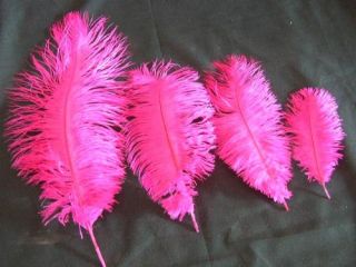 24" White Towers 400 Hot Pink Black Ostrich Feathers Tops Lights