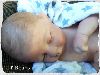 Reborn Baby Boy Andi Sculpt Linda Murray Art Doll So Sweet Lil' Beans