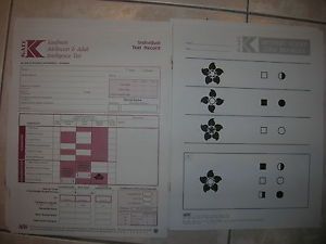 First Alert LT1 Lead Test Kit