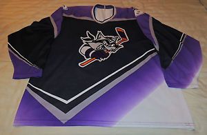 Vtg Bauer Baltimore Bandits American Hockey League AHL Hockey Jersey Defunct XL