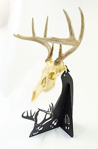 European Deer Skull Mount Kit Handcrafted Pedestal with Mounting Brackets