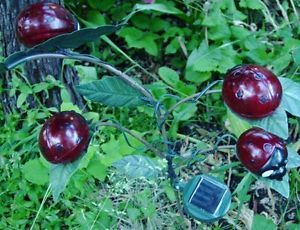 Four Red Ladybugs Lady Bugs Lights Powered by Solar Energy Attractive Yard Decor