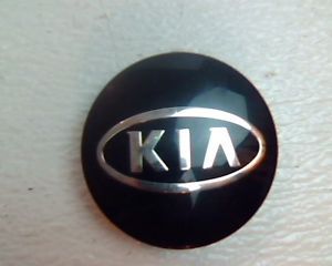 2005 Kia Sedona Wheel Center Cap Only 2645245