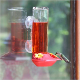 Garden Song Glass Hummingbird Window Feeder   Bird Feeders