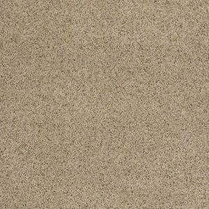 SoftSpring Unbelievable   Color Rattan 12 ft. Carpet HDC8585221