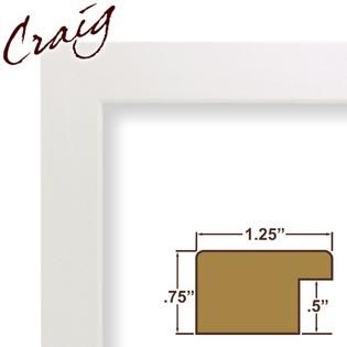 Craig Frames Inc  22x28 Complete 1.25 Wide White Colori Picture Frame