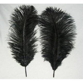  Snow White 20 Ostrich Feather 8 12 to Decorate Eiffel Tower 