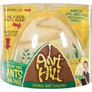  Insect Lore Beetle Barn Toys & Games