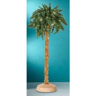 Ft Sago Silk Palm Tree 