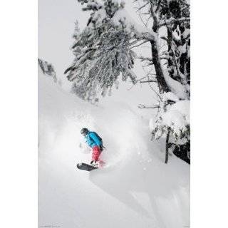 Snowboarder   Xtreme Sports Poster (Boarding Under Tree) (Size 24 x 