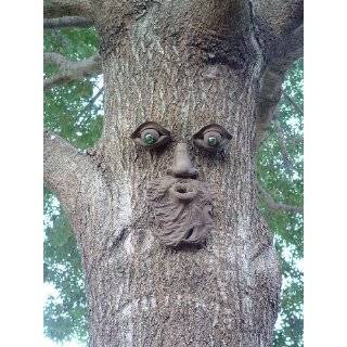 Whistlin Pete Forest Face Tree Face by Genuine Tree Peeple